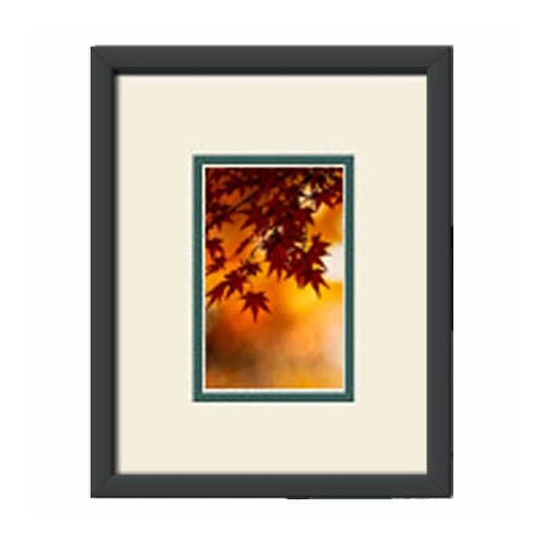 Single Regular Postcard Frame Kit